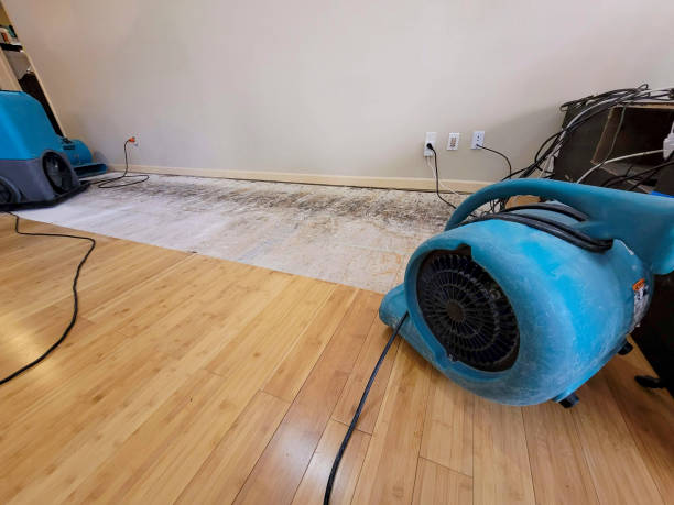 Professional Water Damage Repair technician working in South Dakota, SD